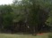 2006-03-22-6607 Conifer Cove-02.jpg